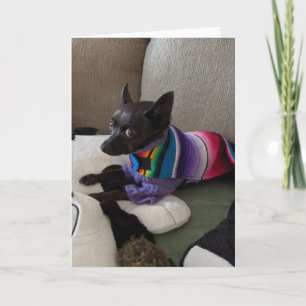 Rescue Dogs Standard, 5" x 7" Folded Greeting Card