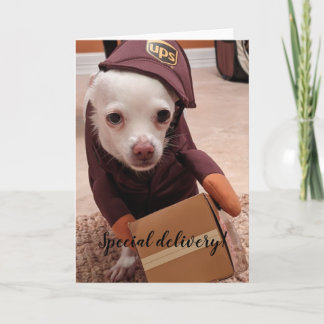 Rescue Dogs Standard, 5" x 7" Folded Greeting Card