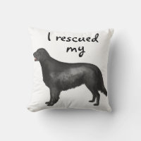 Rescue Flat-Coated Retriever