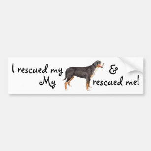 Rescue Greater Swiss Mountain Dog Bumper Sticker