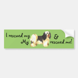Rescue Havanese Bumper Sticker
