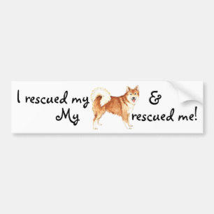 Rescue Icelandic Sheepdog Bumper Sticker