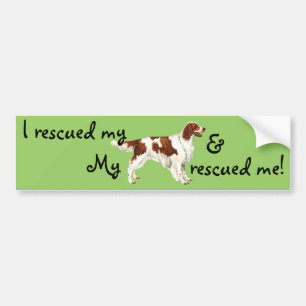 Rescue Irish Red and White Setter Bumper Sticker