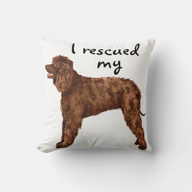 Rescue Irish Water Spaniel Cushion (Front)