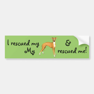 Rescue Italian Greyhound Bumper Sticker