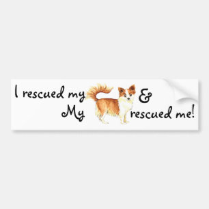 Rescue Long Coat Chihuahua Bumper Sticker