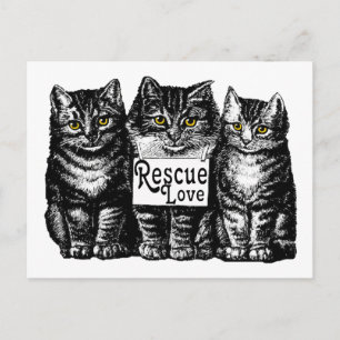 rescue love postcard