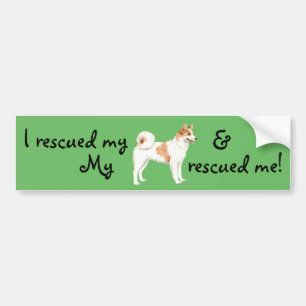 Rescue Norrbottenspets Bumper Sticker