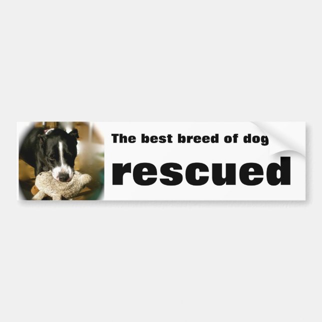 Rescue Pet Bumper Sticker (Front)