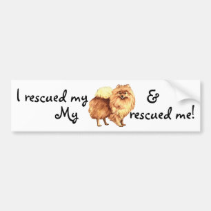 Rescue Pomeranian Bumper Sticker
