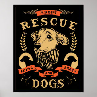 Rescue Poster 1