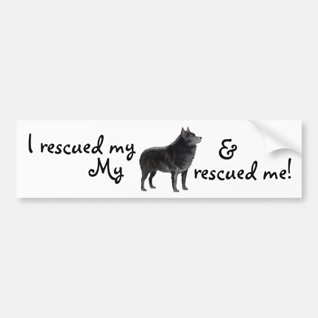 Rescue Schipperke Bumper Sticker (Front)