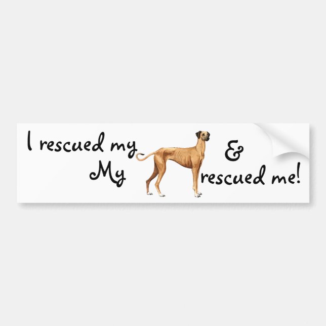 Rescue Sloughi Bumper Sticker (Front)
