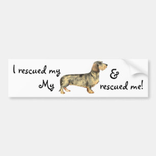 Rescue Wirehaired Dachshund Bumper Sticker
