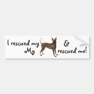 Rescue Xoloitzcuintli Bumper Sticker