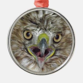 Rescued and Released Hawk Metal Ornament