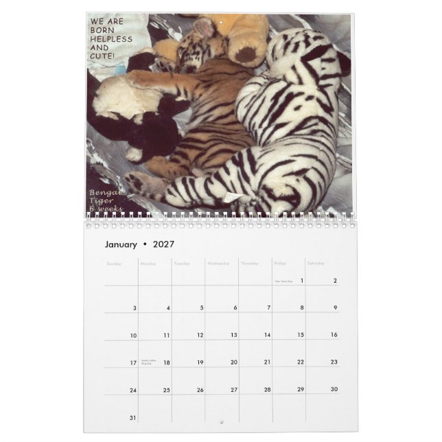 Rescued Animals - We are Not Pets Calendar (Jan 2027)