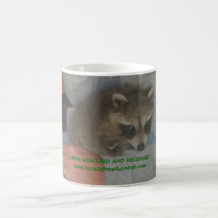 rescued baby racoon mug