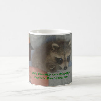 rescued baby racoon mug