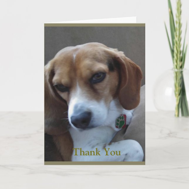 Rescued Beagle "Sunny" Thank You Card (Front)