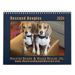 Rescued Beagles 2024 Wall Calendar