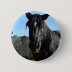 Rescued Black Draught Horse 6 Cm Round Badge