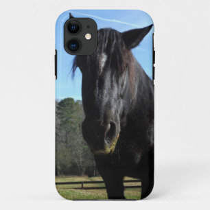 Rescued Black Draught Horse iPhone 11 Case