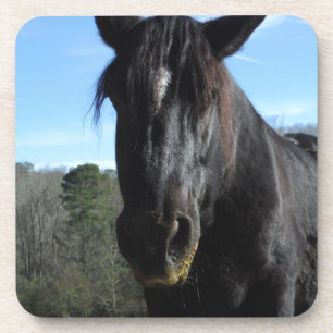 Rescued Black Draught Horse Coaster