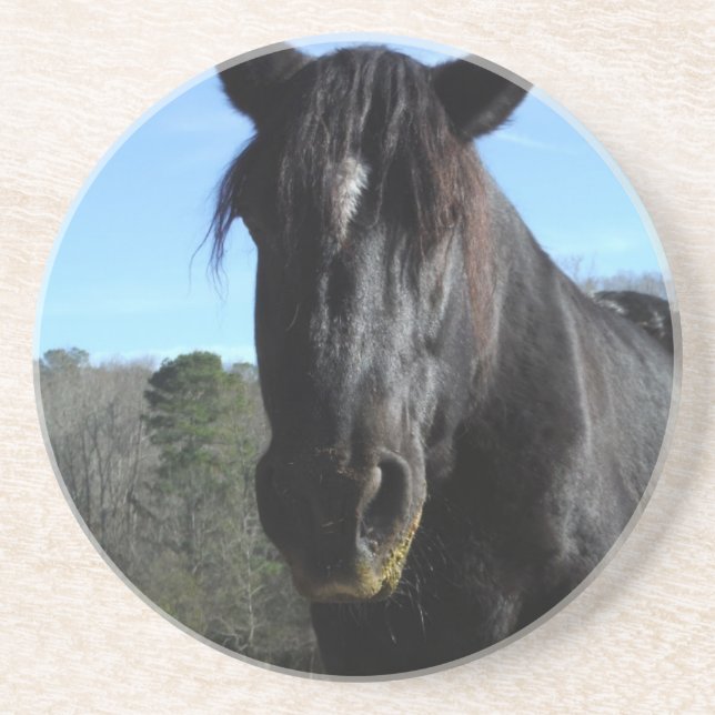 Rescued Black Draught Horse Coaster (Front)