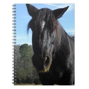 Rescued Black Draught   Horse Notebook