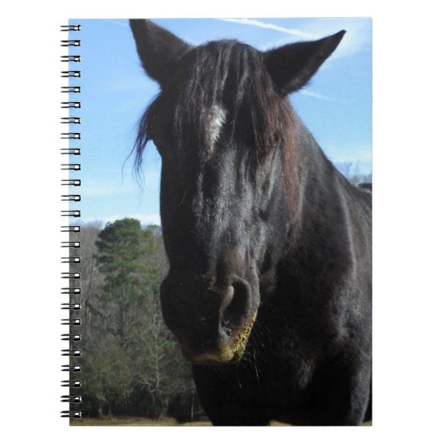 Rescued Black Draught   Horse Notebook (Front)