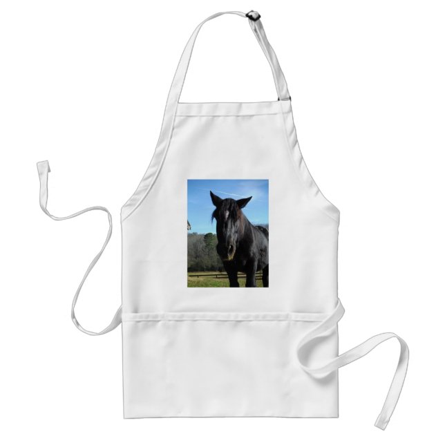 Rescued Black Draught Horse Standard Apron (Front)