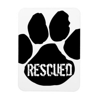 Rescued Car Magnet - Small