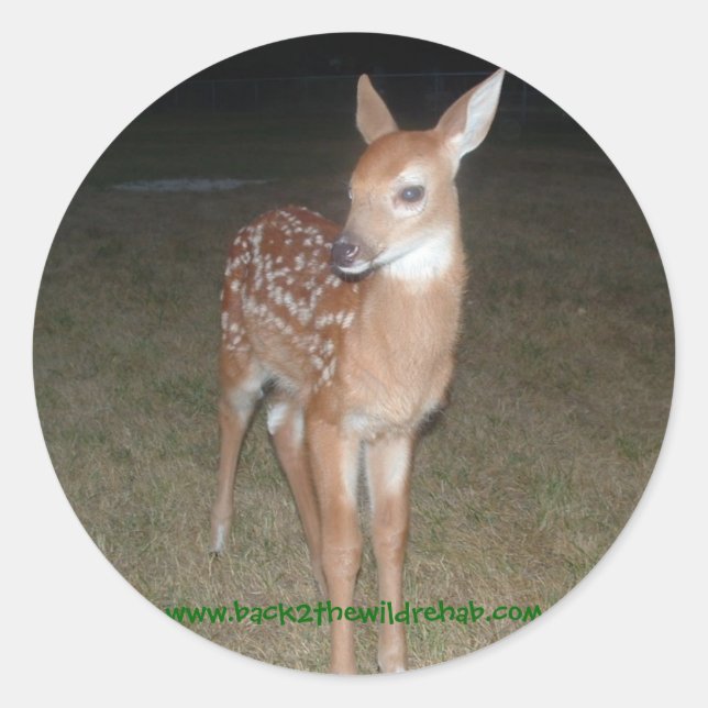 rescued deer fawn stickers (Front)