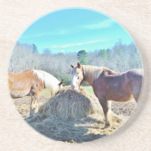 Rescued Draught Horses eating hay Coaster