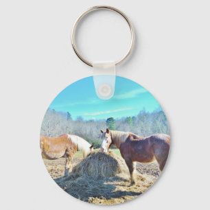 Rescued Draught Horses eating hay Key Ring
