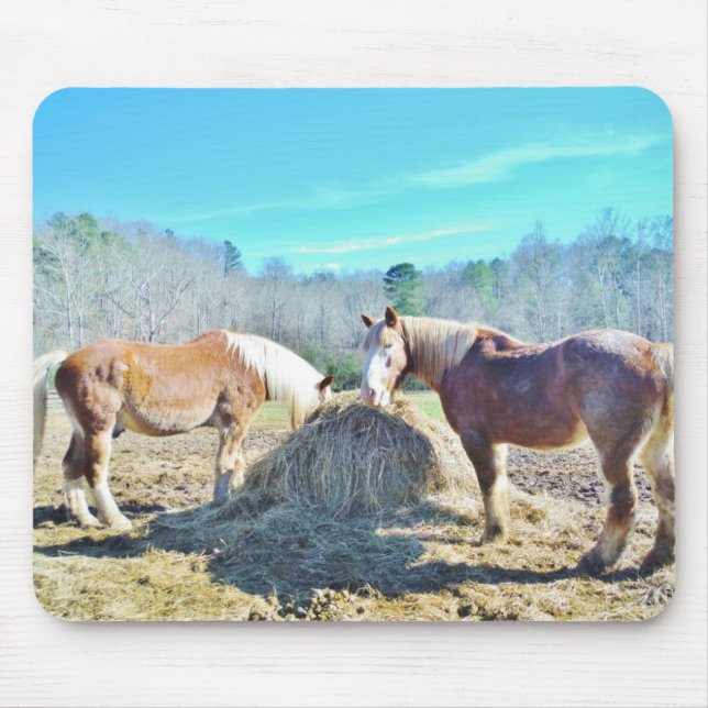 Rescued Draught Horses eating hay Mouse Pad (Front)