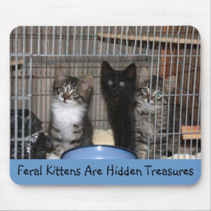 Rescued Kitten Treasures Mousepad