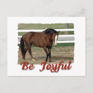 Rescued Morgan Horse:  Be Joyful Postcard