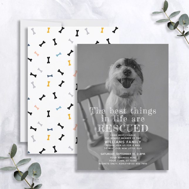 Rescued Pet Adoption Photo Announcement (Creator Uploaded)