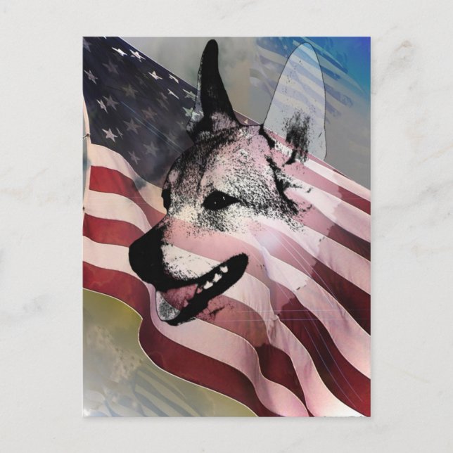 Rescued Pets and Vets Postcard (Front)