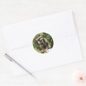 Rescued & Rehabilitated Racoon Baby Classic Round Sticker (Envelope)