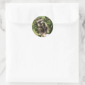 Rescued & Rehabilitated Racoon Baby Classic Round Sticker (Bag)