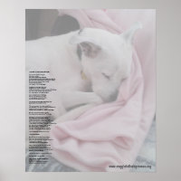 Rescuer's Rainbow Bridge (edited)