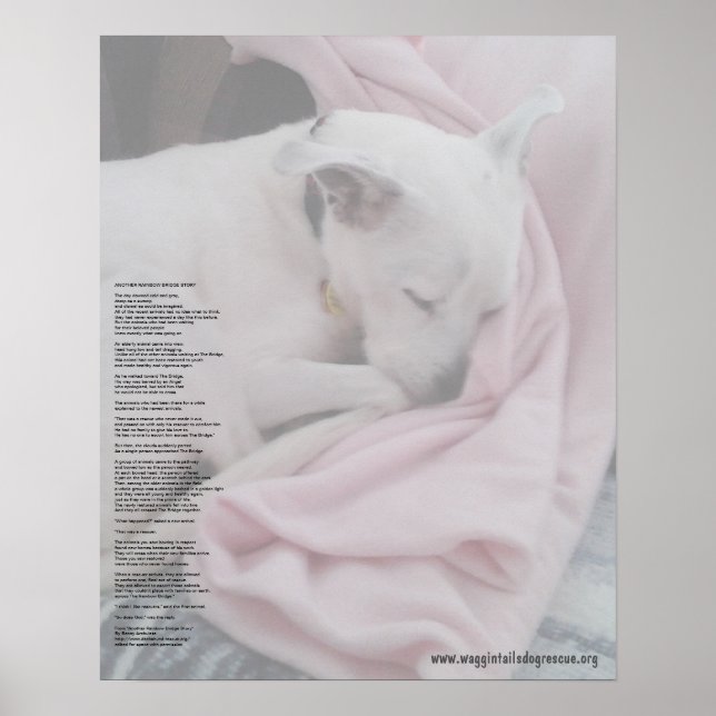 Rescuer's Rainbow Bridge (edited) Poster (Front)