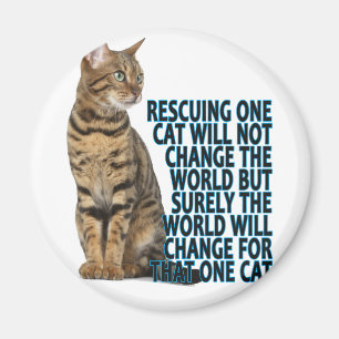 RESCUING ONE CAT WILL NOT CHANGE THE WORLD BUT SUR MAGNET