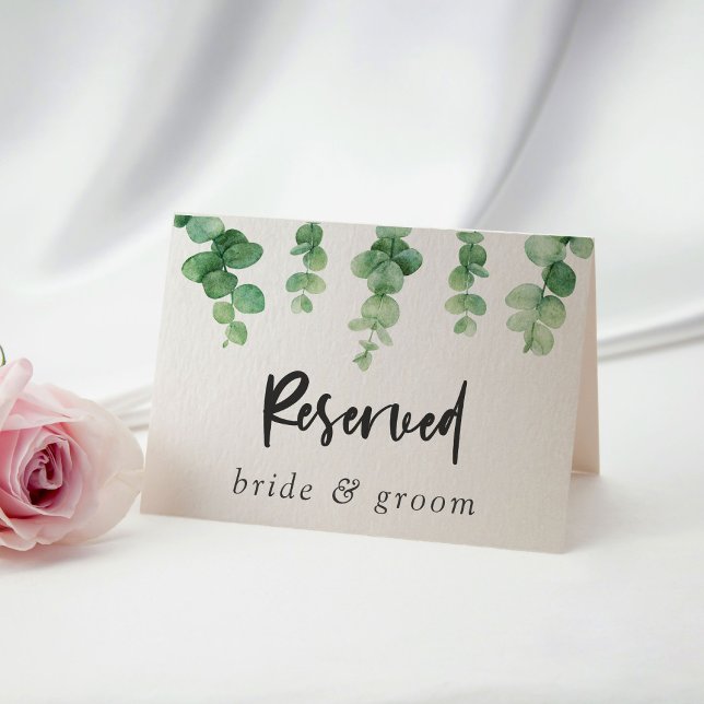 Reserved Bride & Groom Eucalyptus Wedding (Creator Uploaded)