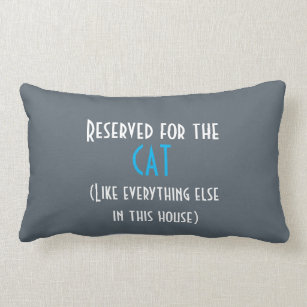 Reserved for the cat cushion