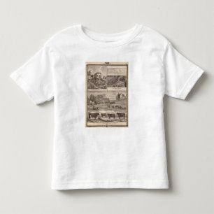 Residence and Western College in Marshalltown Toddler T-Shirt