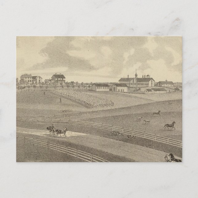 Residence, Minnesota Postcard (Front)